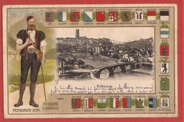 Fribourg - Freiburger Senn - Prägekarte 1910