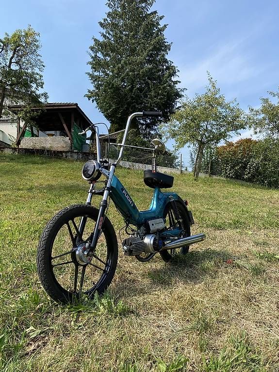 Ciclomotori: Puch Maxi – Usato da Malters venduto da casolina01