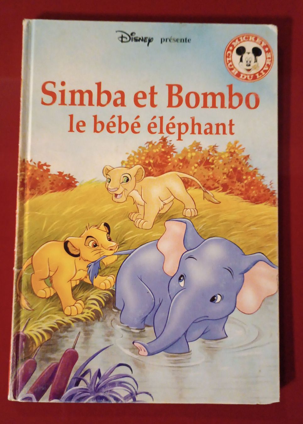 Libri: Simba & Bombo - Livre Disney 1995 – Usato da Cornaux NE venduto da Mimi983