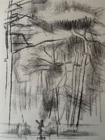 KÜNSTLER  ? UNLESERLICH SIGNIERT LITHOGRAPHIE BLATT 50X38 CM