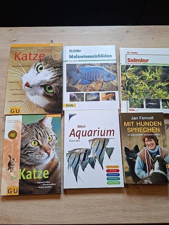 Bücher: Diverse Ratgeber – Gebraucht aus Teufen AR von nad_55nm