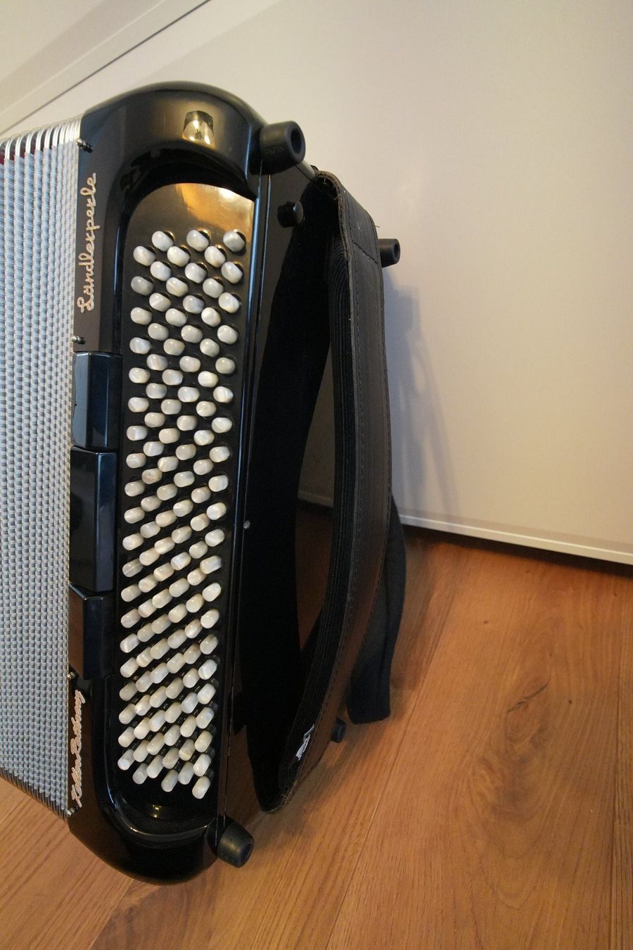 Record Strumenti musicali: Record Ländlerperle – Usato da Bilten venduto da Goertl 2