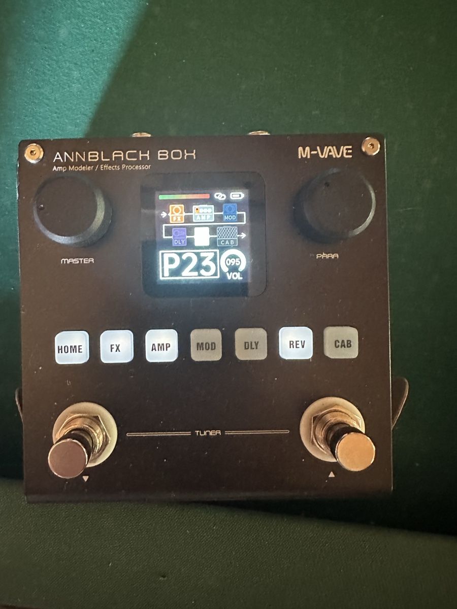 Instruments de musique: AnnBlack Box M-VAVE Amp Modeler / Effects Processor – D'occasion à Tschierv par Screamingwolfguitars 1