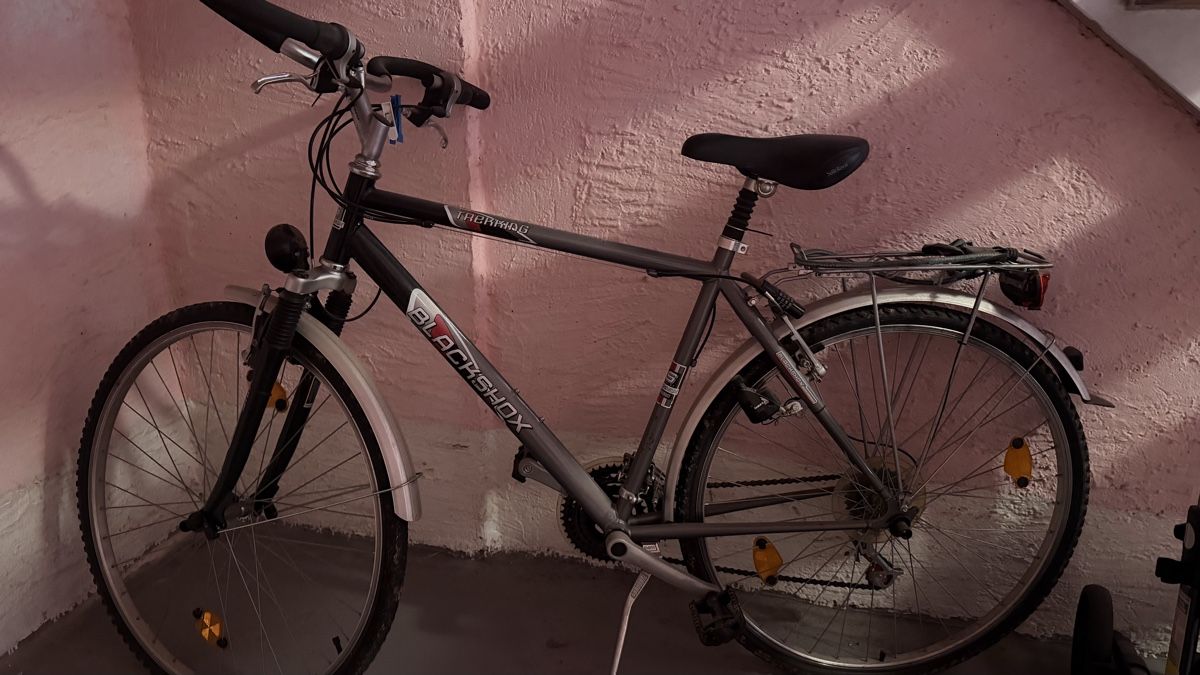 Biciclette: Velo – Nuovo (secondo la descrizione) da Basel venduto da roc_n7v6 1