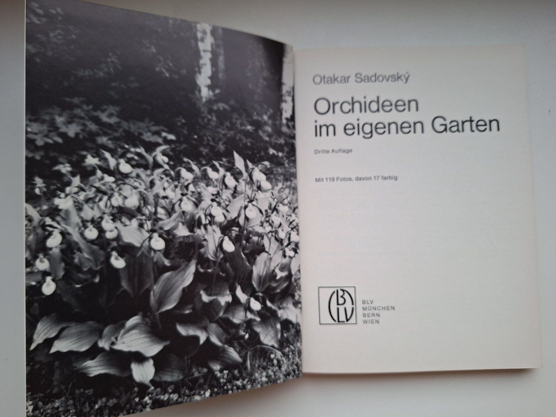Libri: Orchideen im eigenen Garten - BLV Gartenbuch Top – Usato da Zürich venduto da t24_de 2