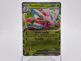 Dunkelnacht - Mantidea ex  (PBL 4) - DE