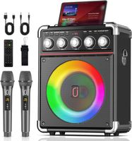 Karaoke Box mit 2 Funkmikrofonen Bluetooth 5.3 120W RMS