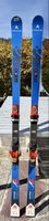 Dynastar skis Course WC Speed 182cm used condition