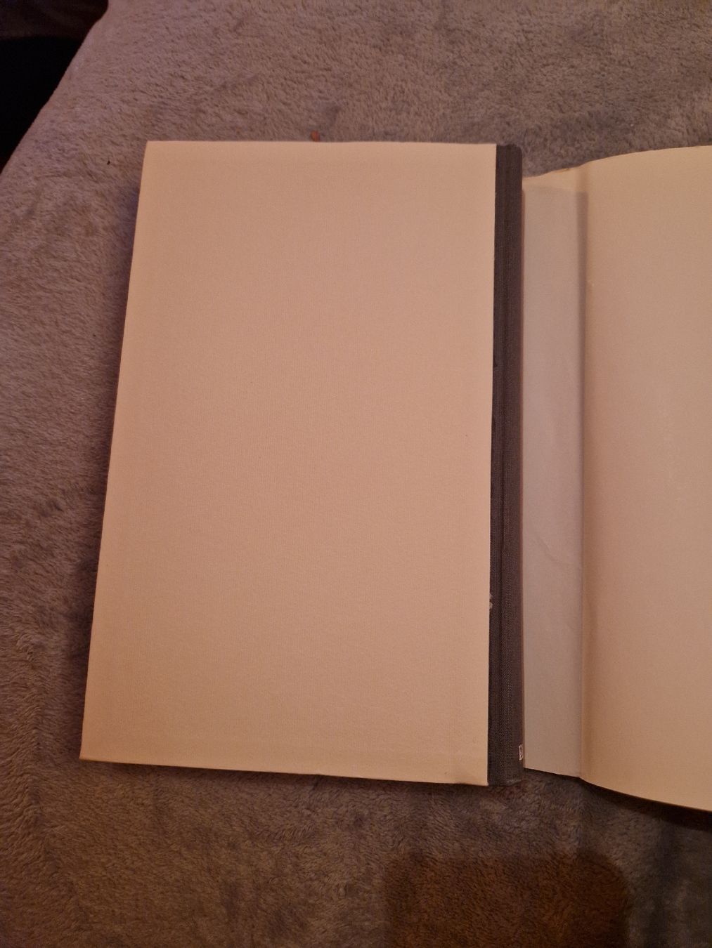 Livres: Collection Thyssen Bornemisza – D'occasion à Blignou (Ayent) par Mazikeen 2