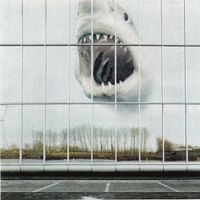 CD Black Mountain - Wilderness heart (Digipak, 2010)