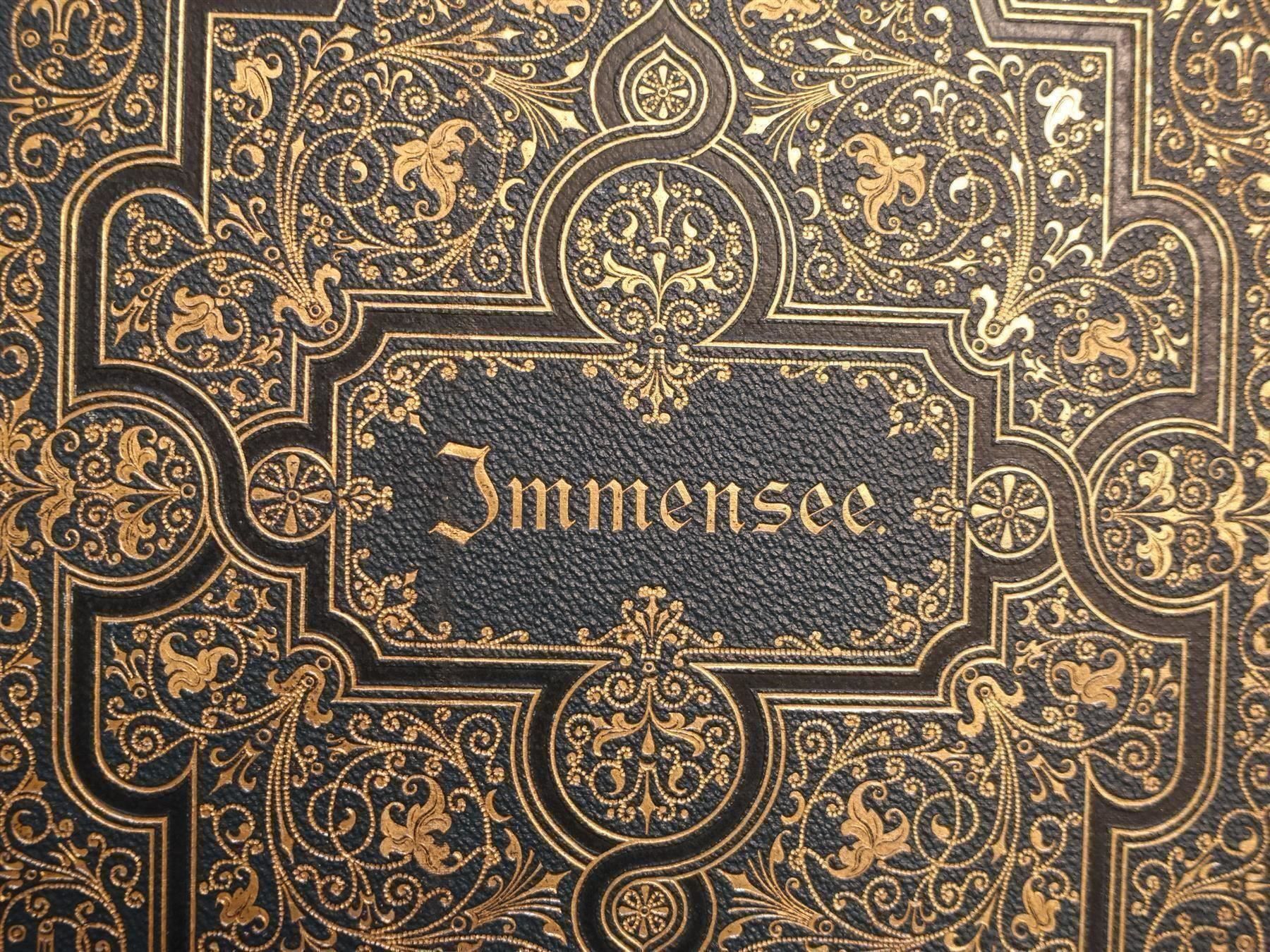 Libri: Immensee Theodor Storm 1887 – Usato da Gutenswil venduto da Optico