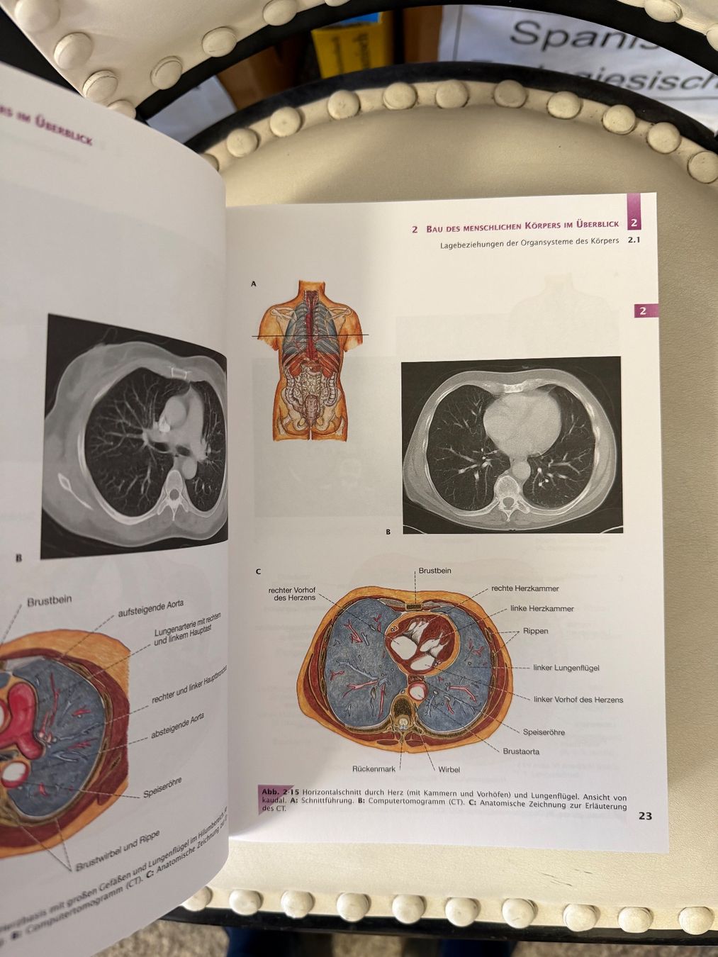 Bücher: Handbuch Anatomie – Gebraucht aus Dietikon von Buchantiqdietikon 1