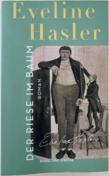 Der Riese im Baum – Eveline Hasler – Roman – gut gelesen (Gebraucht) in ...
