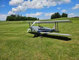 Tiger Moth Toni Clark