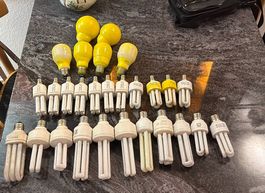 Ampoules basses consommation 