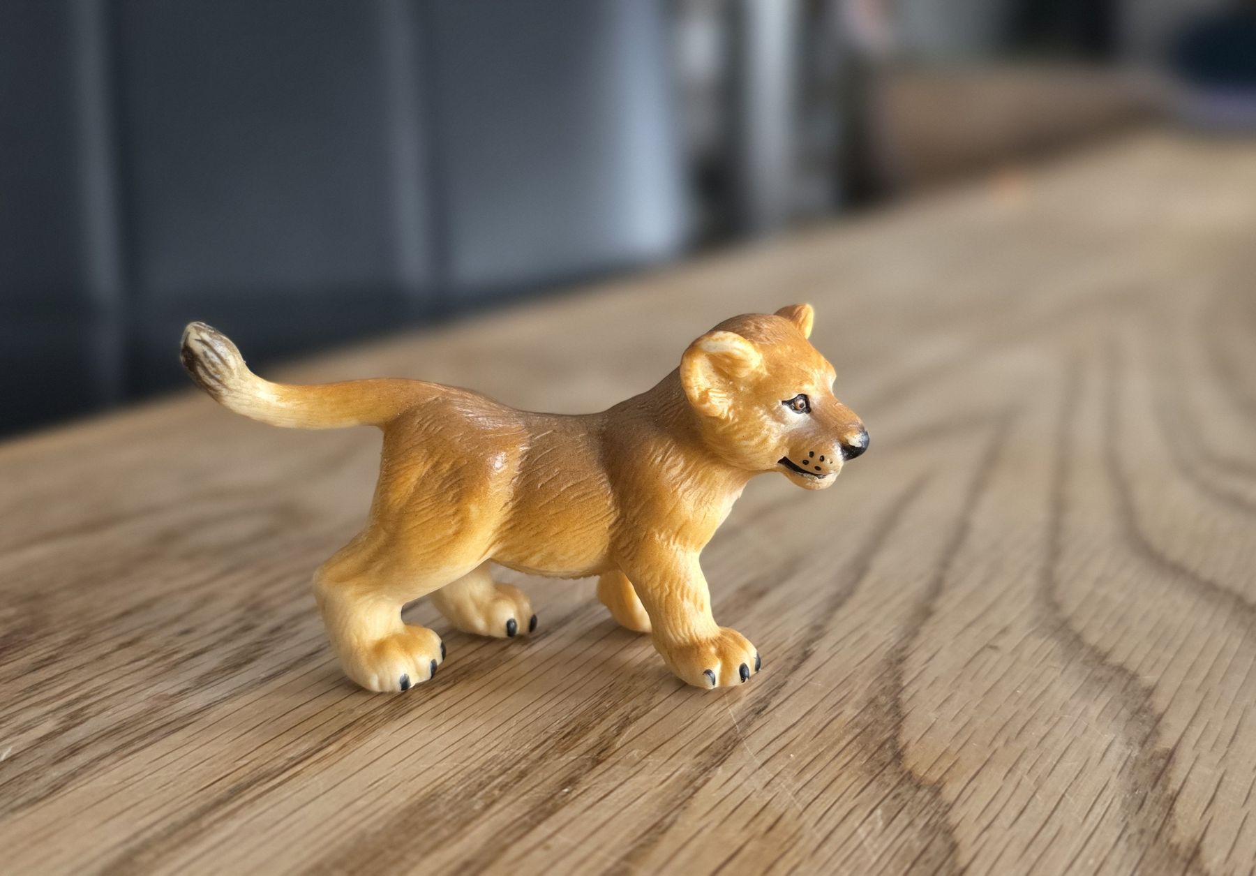 Schleich Spielzeuge: Schleich 14186 baby Löwe – Gebraucht aus Wettingen von dlililou 2