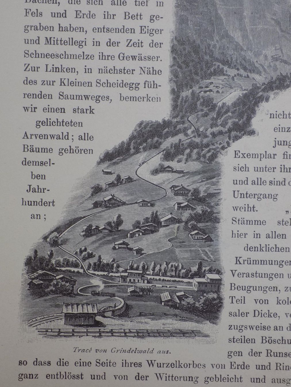 Incisioni: Grindelwald Bahnen – Usato da Risch venduto da Rischli15 1