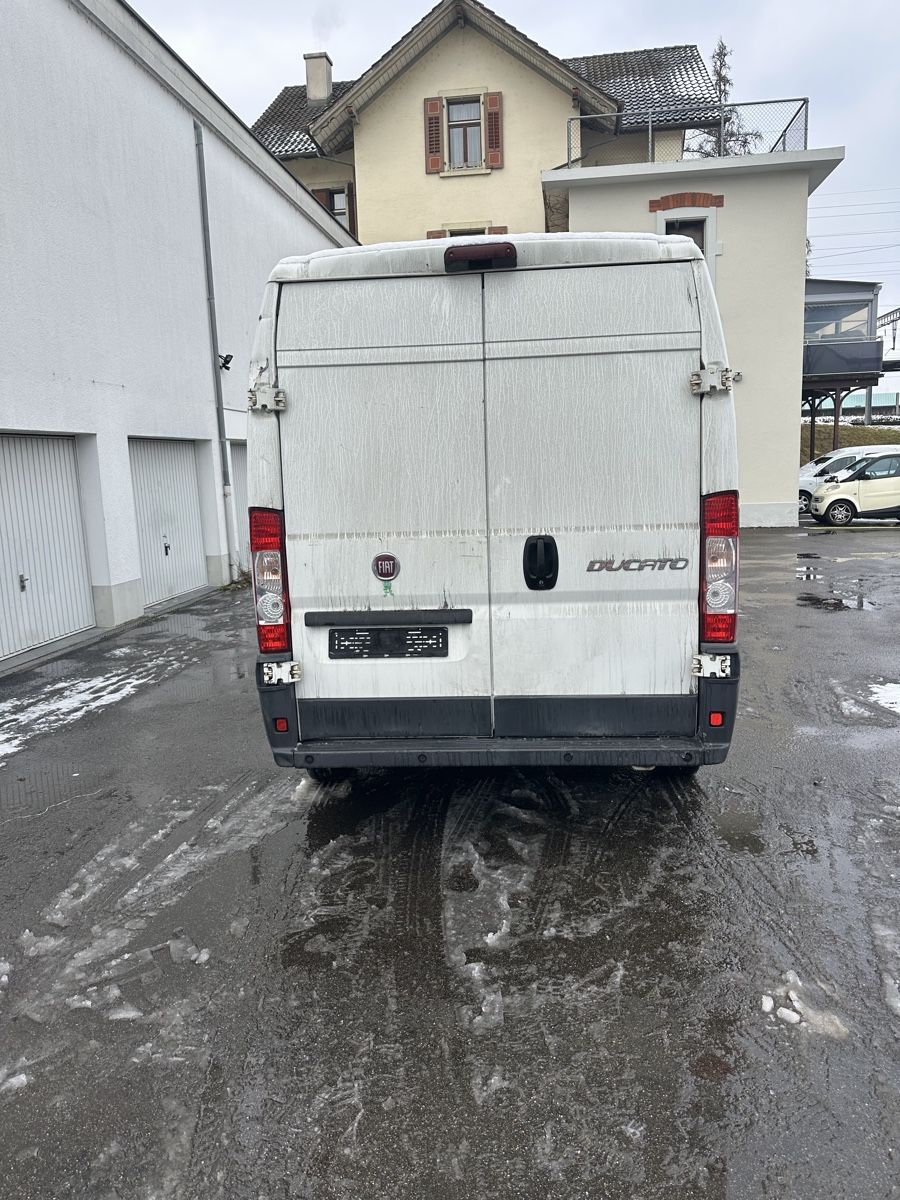 Fiat Veicoli commerciali: Fiat Ducato Transporter, Nutzfahrzeug – Usato da möhlin venduto da platzsimo 2