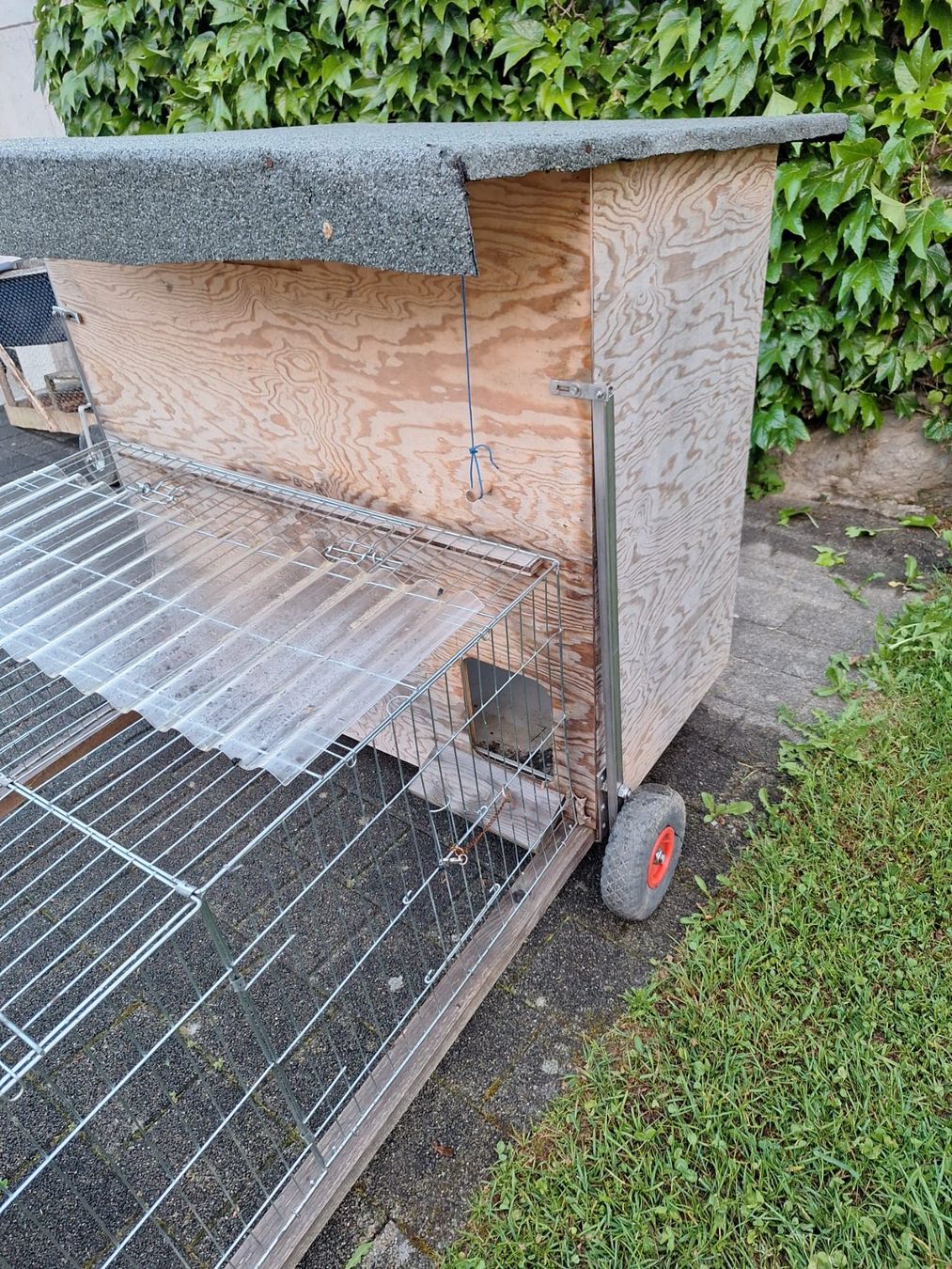 Cages, transport & sécurité: Hasenstall fahrbar – Neuf (Voir description) à Uznach par Carlsson80 4
