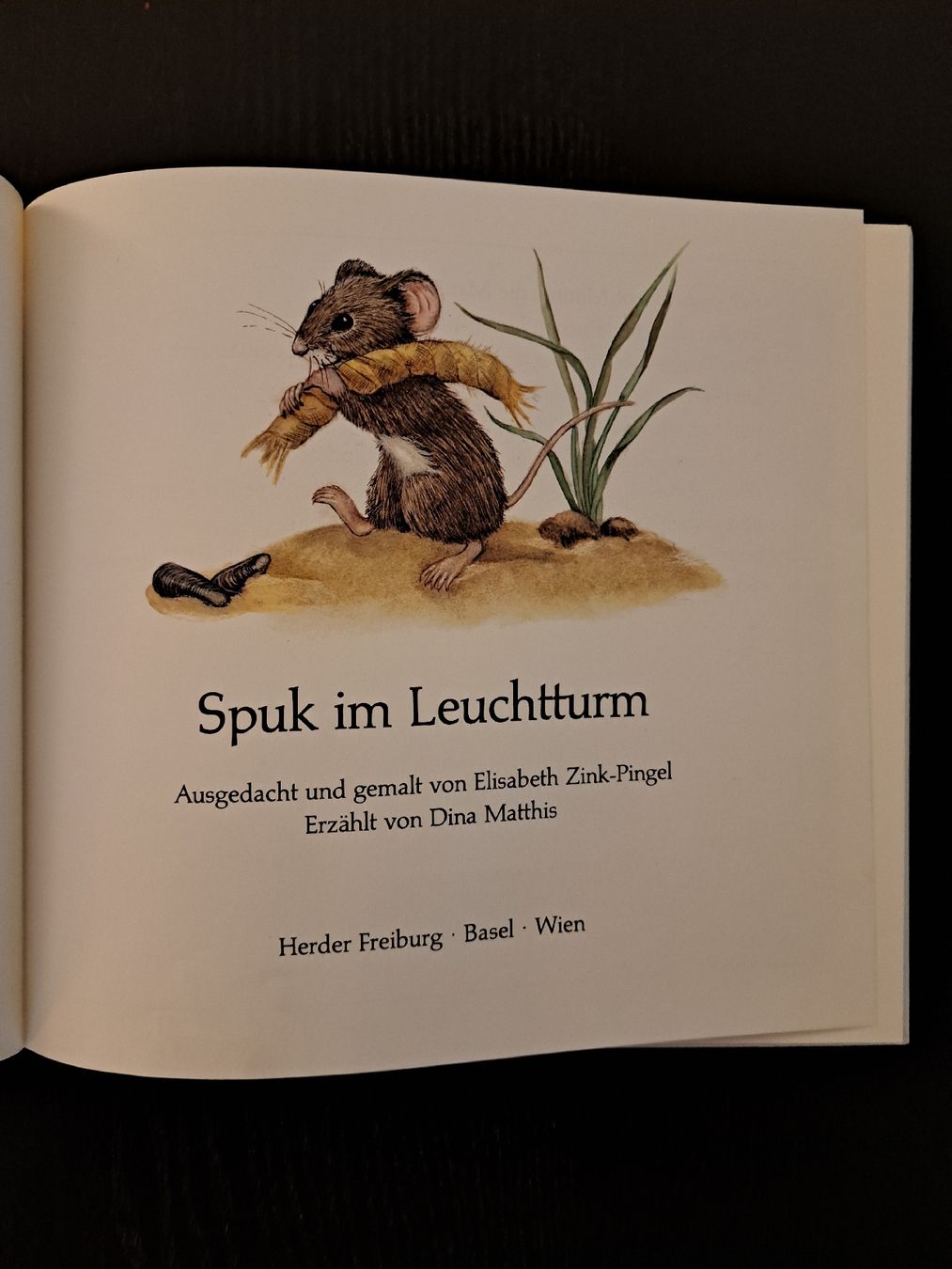 Libri: Bilderbuch • Kinderbuch • Spuk im Leuchtturm – Usato da Ottenbach venduto da Rasenmaeeher 2