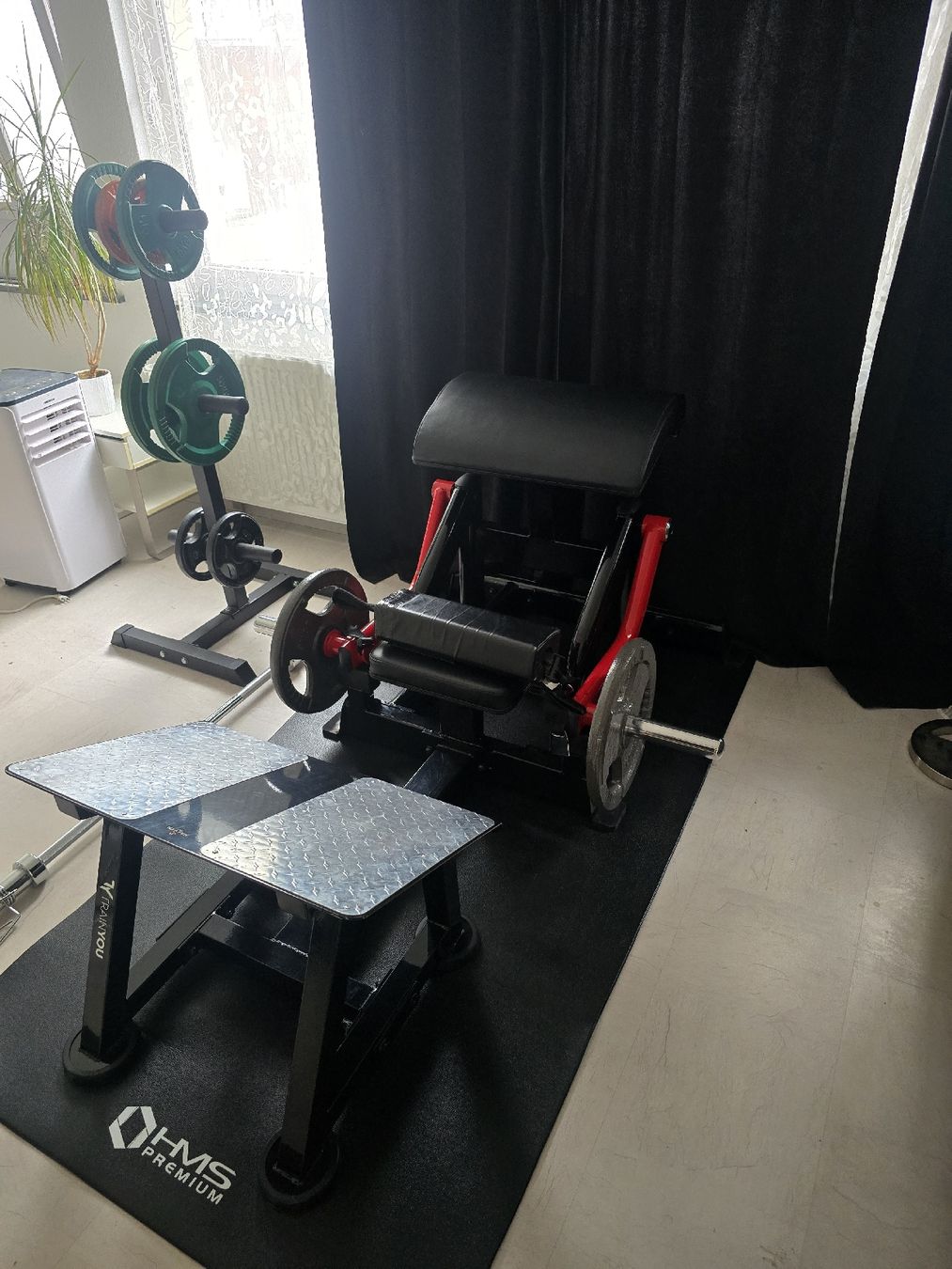 Hometrainer: Hip Thruster Steel-Flex mit Gewichten und Ständer – Usato da Derendingen venduto da S.Skorbi 3