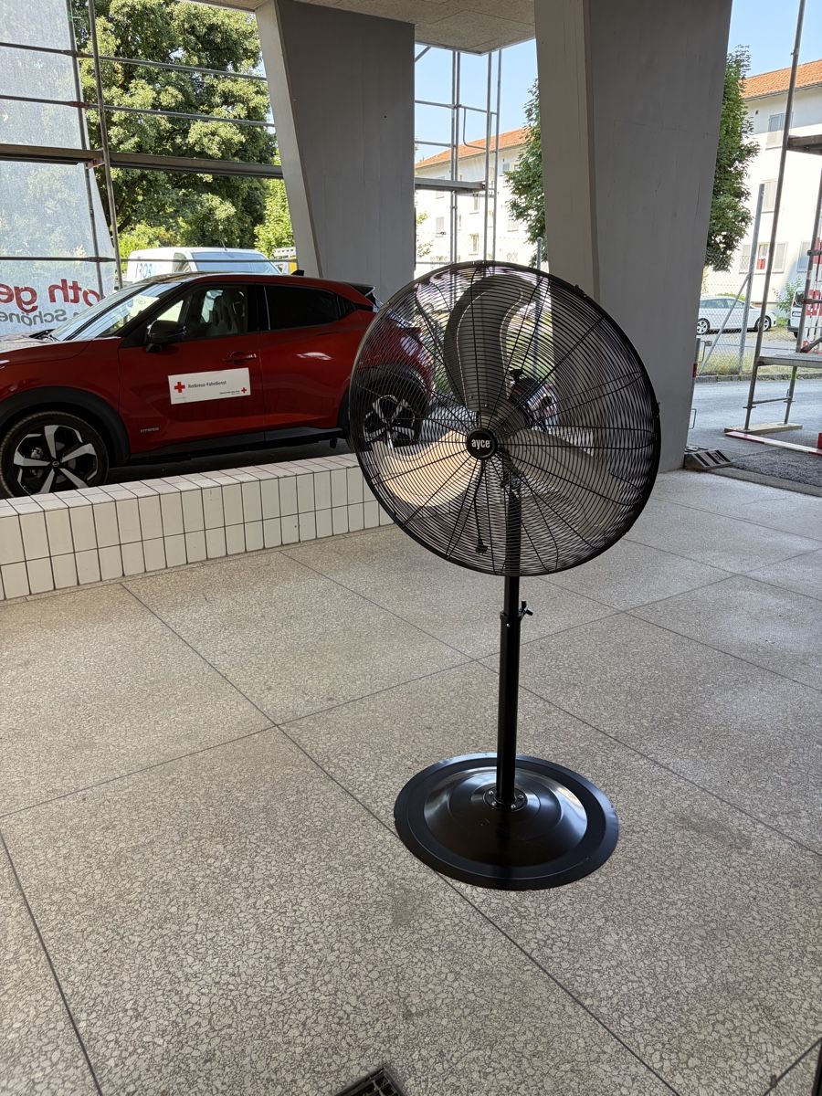 Ventilatori: Industrie-Standventilator AYCE | Wie neu – Nuovo (secondo la descrizione) da Emmenbrücke venduto da dylan_esteban19 1