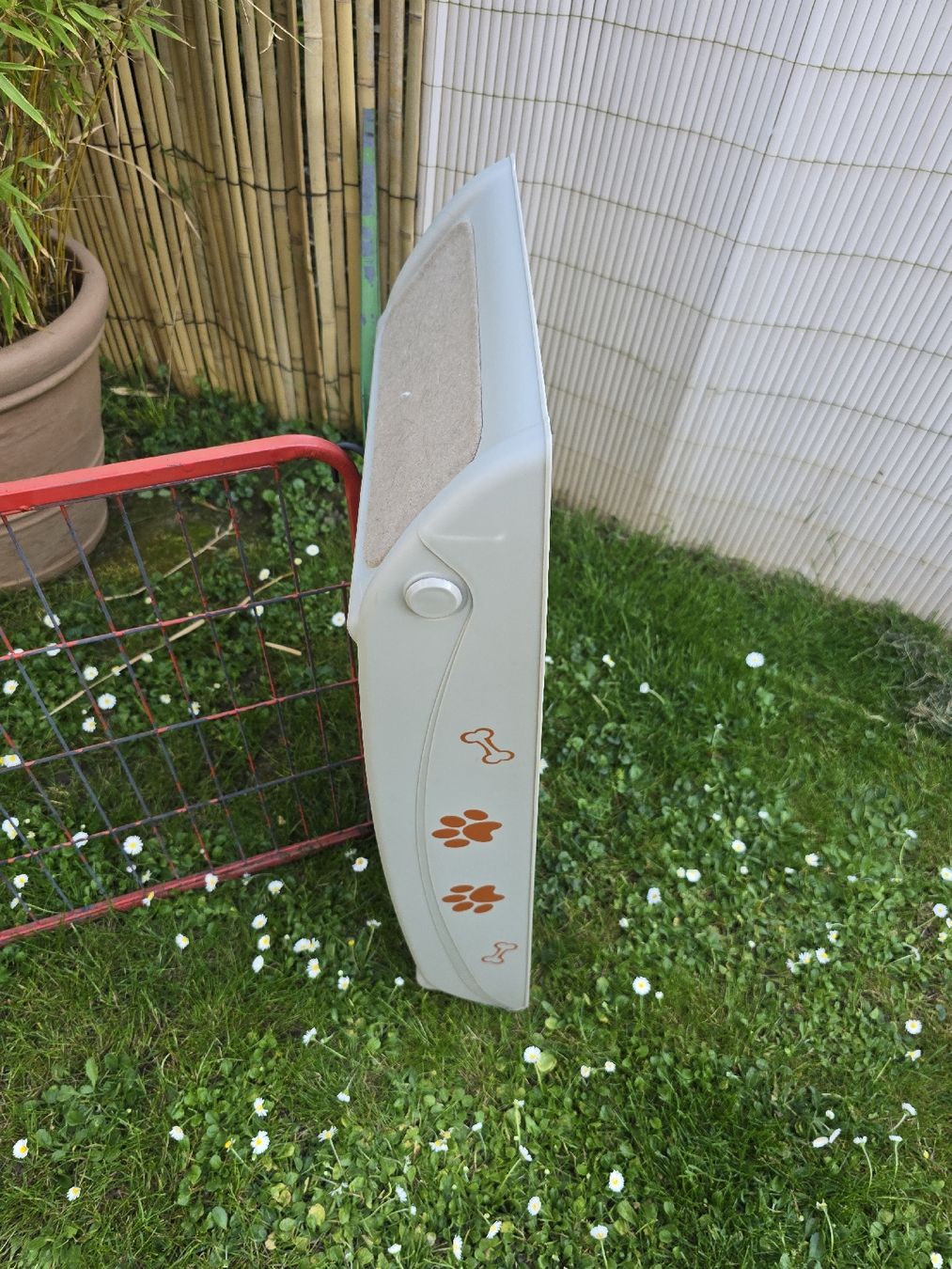 Gabbie, trasporto & Sicurezza: Rampe per cani pieghevole 4 gradini usato – Usato da Zürich venduto da lea_6t8t 1