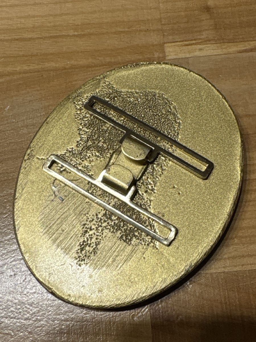 Fibbie per cinture: Gürtelschnalle aus Kunststoff – Nuovo (secondo la descrizione) da Rümlang venduto da BoutiqueMonique16 1