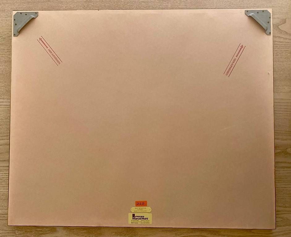 Poster & Bilder: Zeichnung inklusive Rahmen, Platzspitz, Zürich – Gebraucht aus Zürich von seppi1291 1