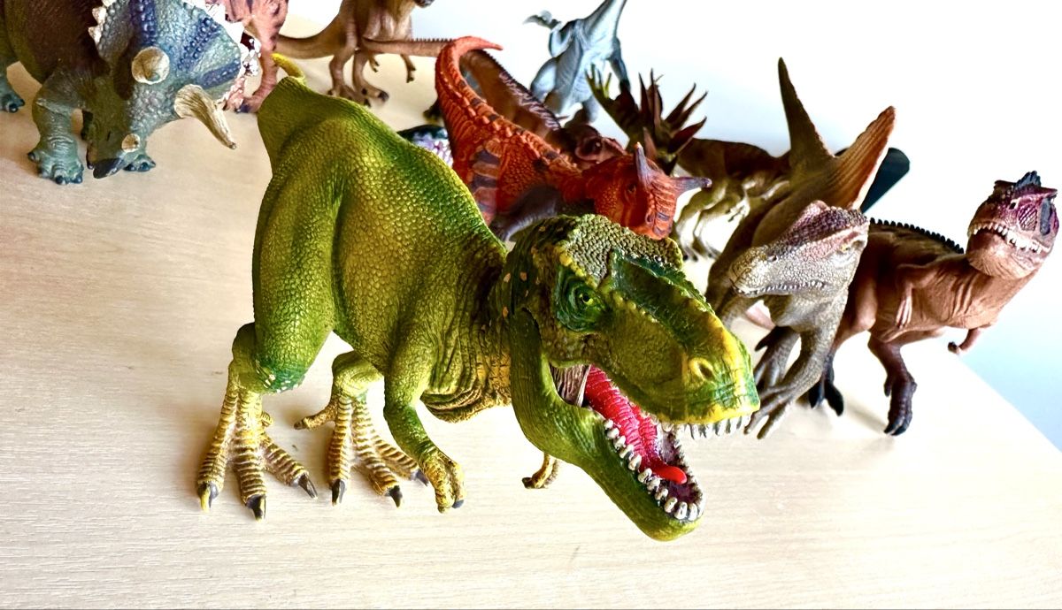 Livres: 14 Dinosaurier – D'occasion à zollikon par mme_kwf2 1