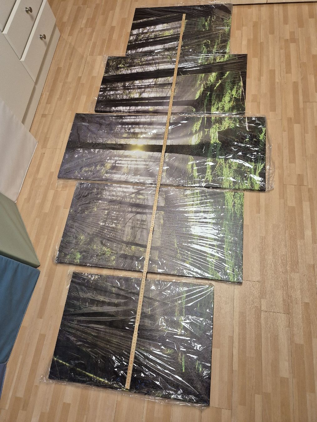 Gemälde: Leinwandbild "Wald" – Neu und originalverpackt aus Embrach von TMCHZ 2