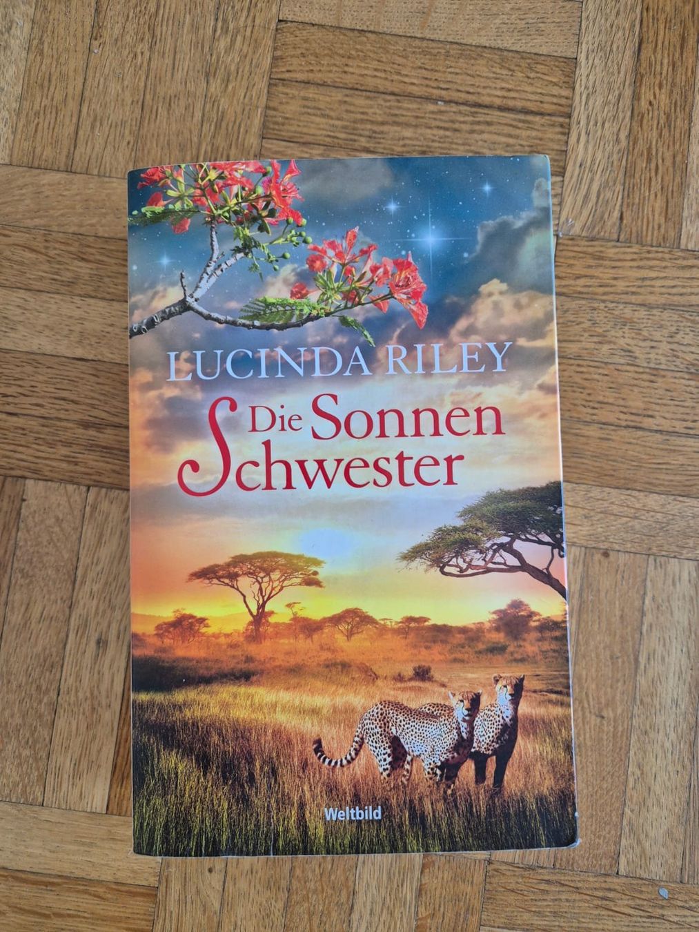 Bücher: Die Sonnenschwester – Lucinda Riley – Gebraucht aus Zürich von Sootoo
