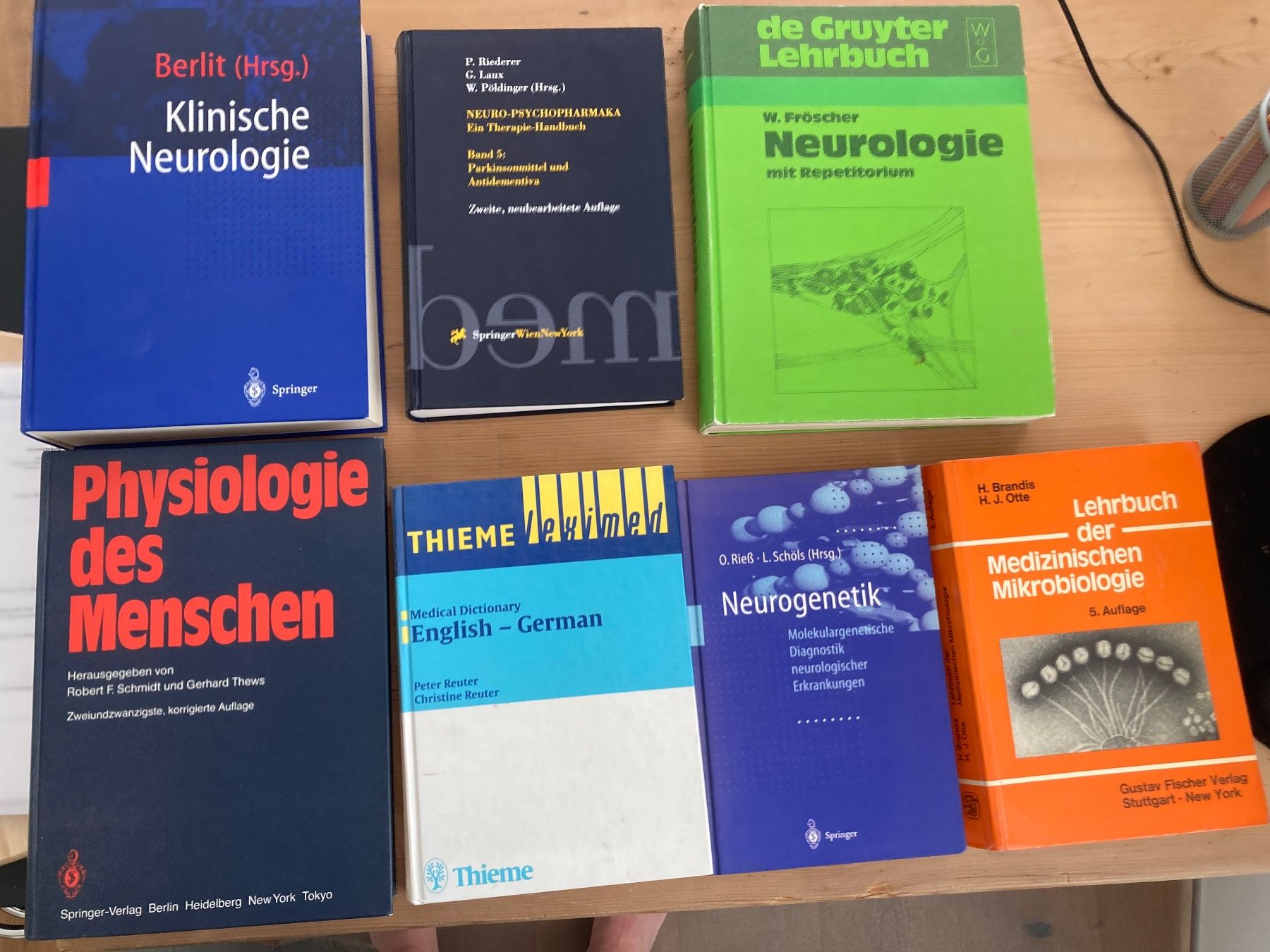 Libri: medizinische Fachbücher – Usato da Gams venduto da birgitLeo 2