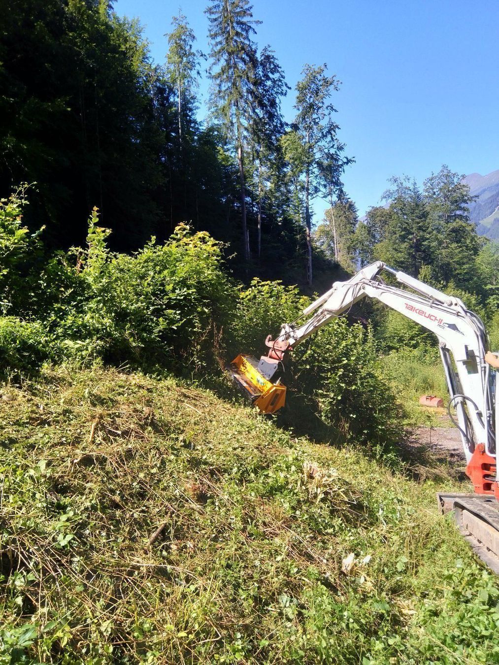 Bagger: Mulcher 90 cm zu Bagger 3.5 - 12 T – Neu (gemäss Beschreibung) aus Kastanienbaum von acapulco 6