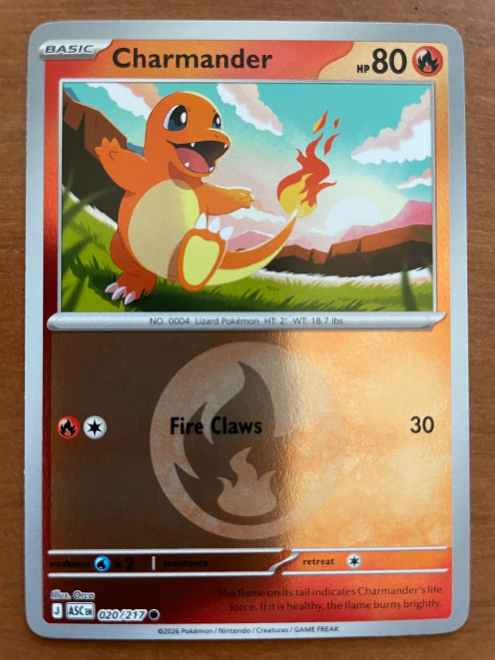 Pokémon Carte collezionabili: Pokemon Charmander Reverse (Versand gratis) – Nuovo (secondo la descrizione) da Chur venduto da Angerson
