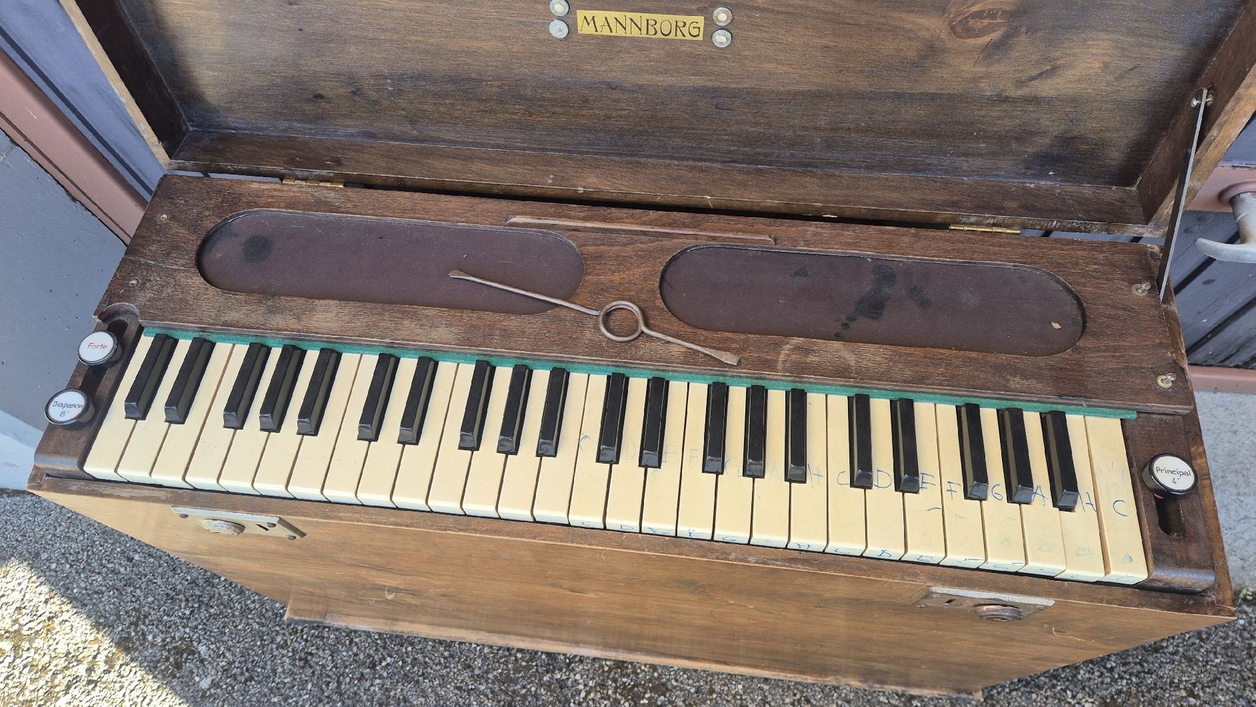 Strumenti musicali: Harmonium Mannborg zu Verkaufen – Usato da Rämismühle venduto da beni0010 5