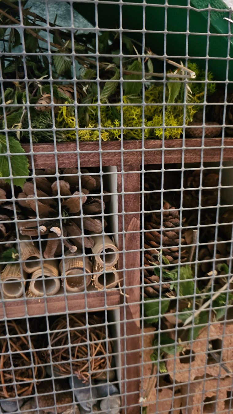 Bienenhäuser: Insektenhotel – Neu und originalverpackt aus Utzenstorf von Kinza1 1