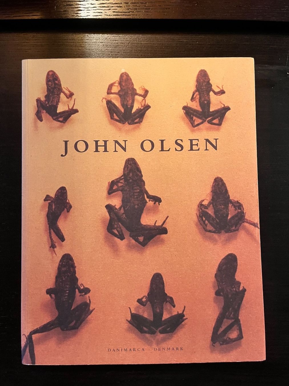 Libri: John Olsen - Danimarca – Usato da Lausanne venduto da Kinga_Shopaholic