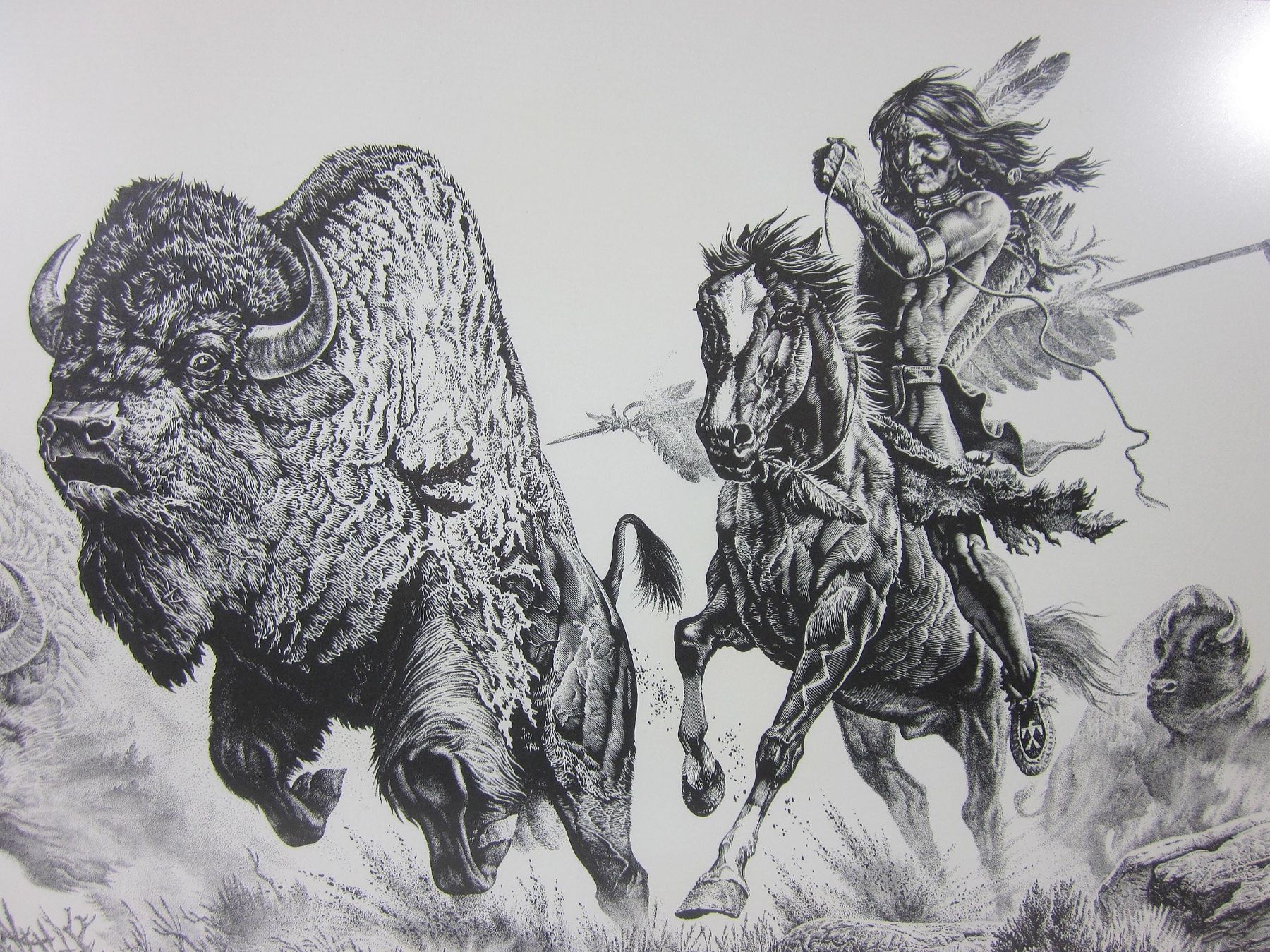 Bücher: Die Bisonjagd Print 1976 – Gebraucht aus Bäretswil von robsonantik 1