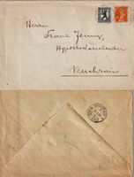 1924 Pro Juventute J29 auf Brief mit Tellbub