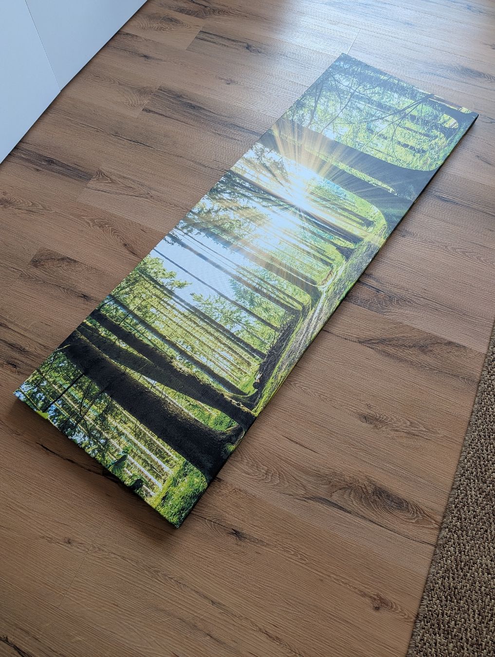 Foto & Immagini: Wandbild Wald mit Sonnenstrahlen – Usato da Glis venduto da chr_p9w5 1