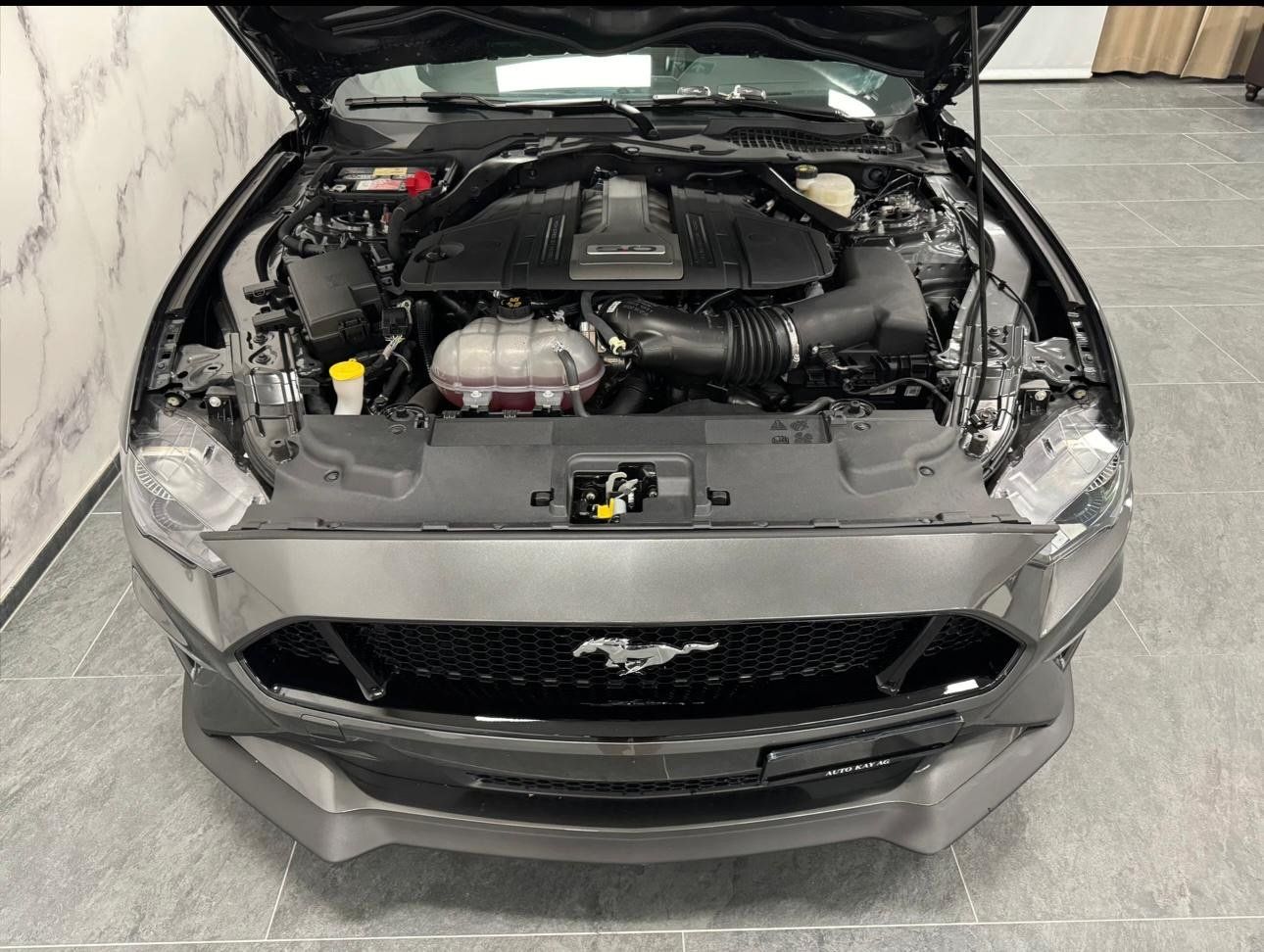 Ford Automobili: Ford Mustang GT Convertible 5.0 V8 – Usato da Birsfelden venduto da edw_2mjn 3