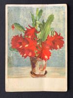AK Blume im Topf Kunstkarte 1937