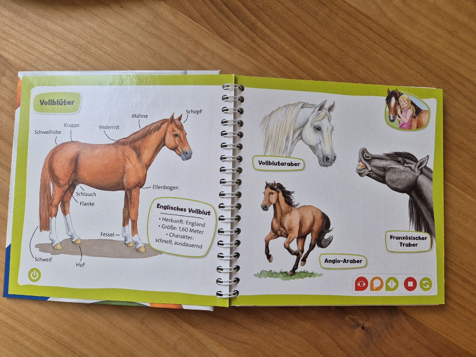 Libri: tiptoi Buch–Pferde & Ponys – Usato da Richterswil venduto da ChristinW01 4