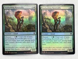 MTG: 2x Sunbathing Rootwalla Foil DMU Selten! Top Zustand!