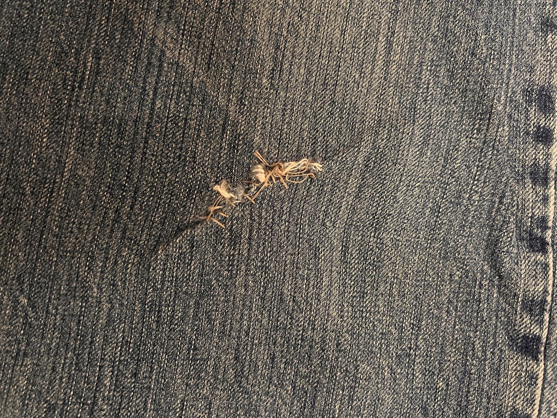 Harley-Davidson Jeans: "Harley Davidson"Jeans – Usato da Adliswil venduto da groenland01 5