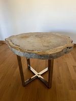 Couchtisch aus versteinerter Baumscheibe