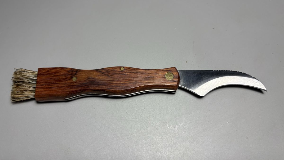 Accessori: Baladéo Pilzmesser mit Bürste – Usato da Birrwil venduto da kaestli 4