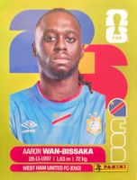 Carte FIFA World Cup 2026 COD 3