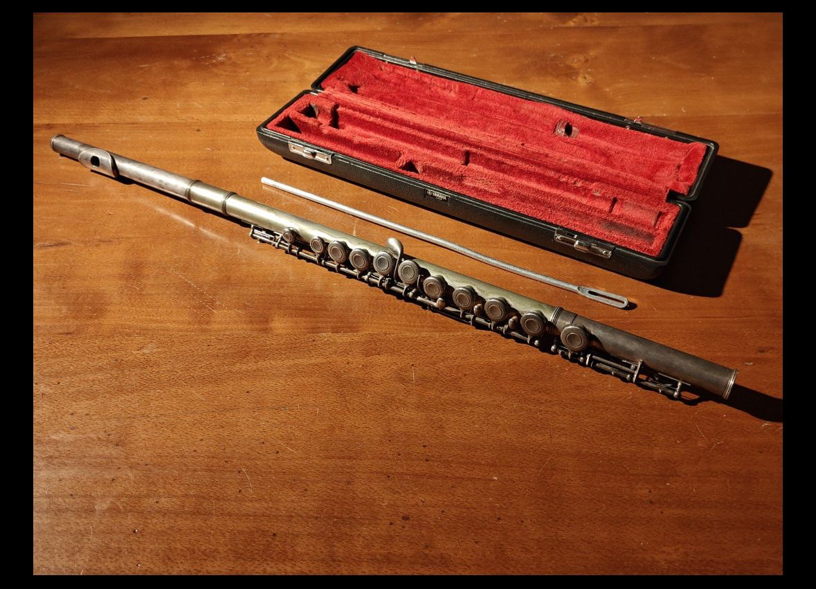 Yamaha Strumenti musicali: Yamaha Querflöte YFL 211S – Usato da Eriz venduto da Axolotl13